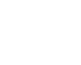AIDA